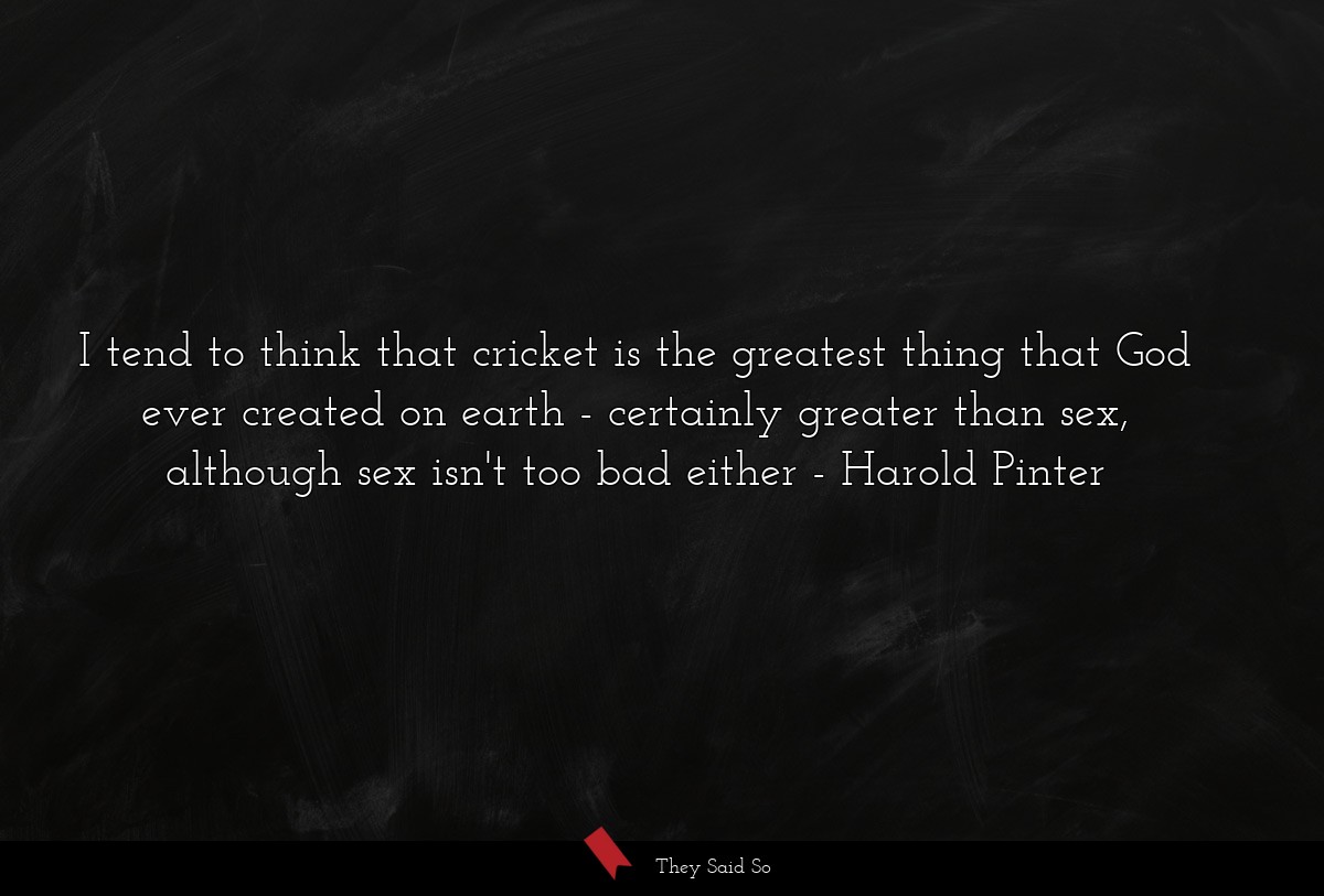 I tend to think that cricket is the greatest thing that God ever created on earth - certainly greater than sex, although sex isn't too bad either