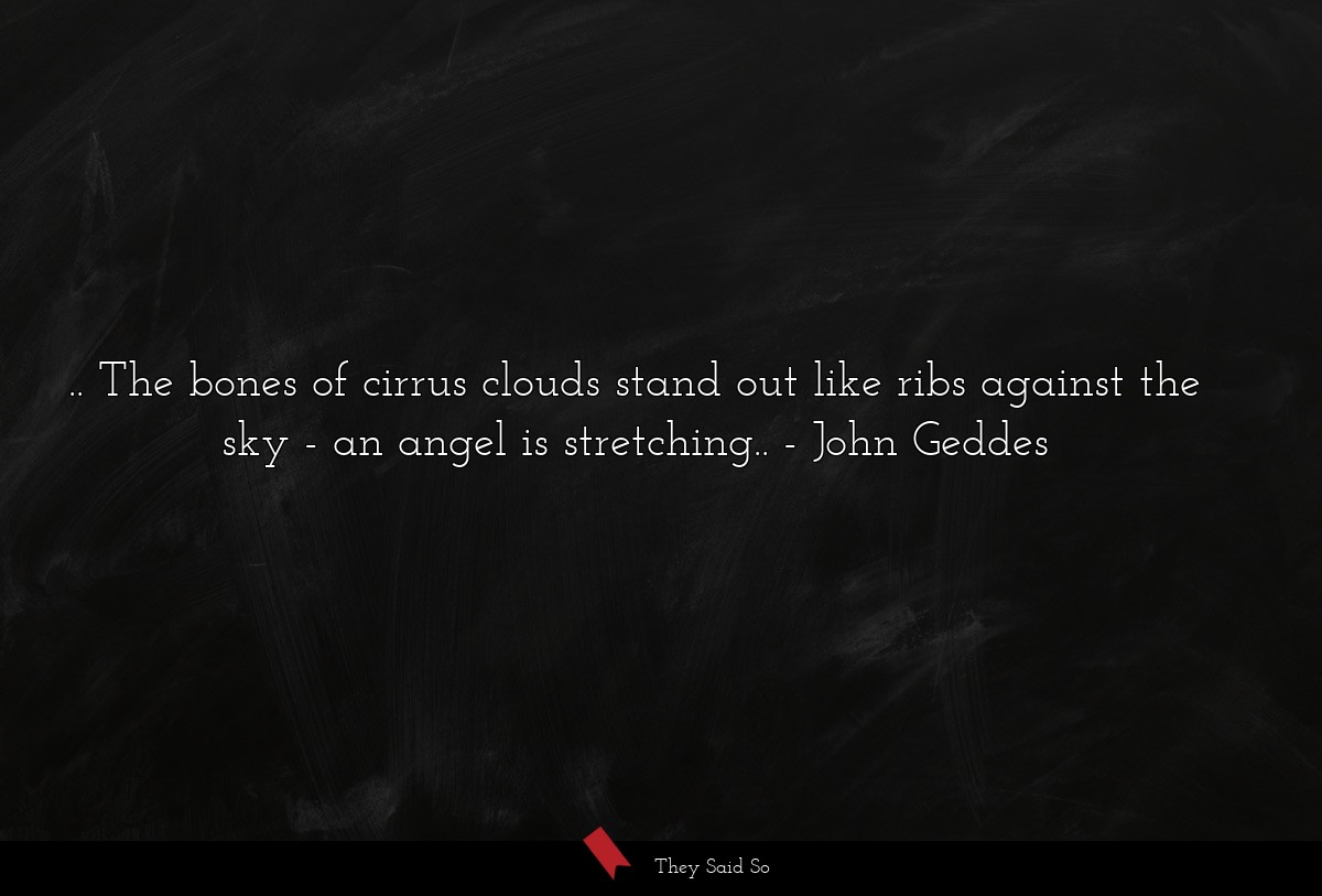 .. The bones of cirrus clouds stand out like ribs against the sky - an angel is stretching..