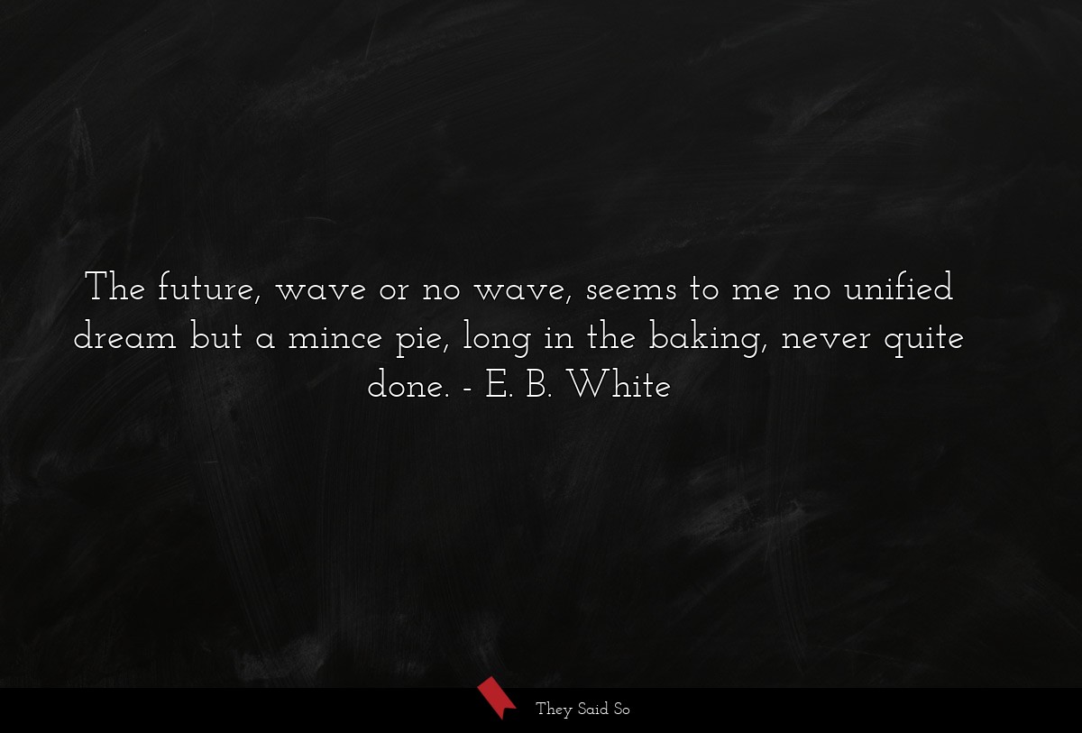 The future, wave or no wave, seems to me no unified dream but a mince pie, long in the baking, never quite done.