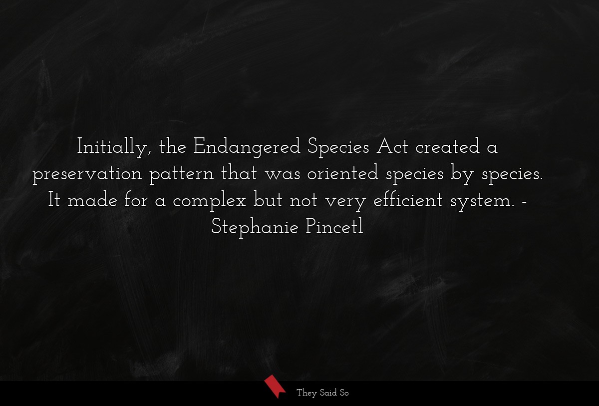 Initially, the Endangered Species Act created a preservation pattern that was oriented species by species. It made for a complex but not very efficient system.