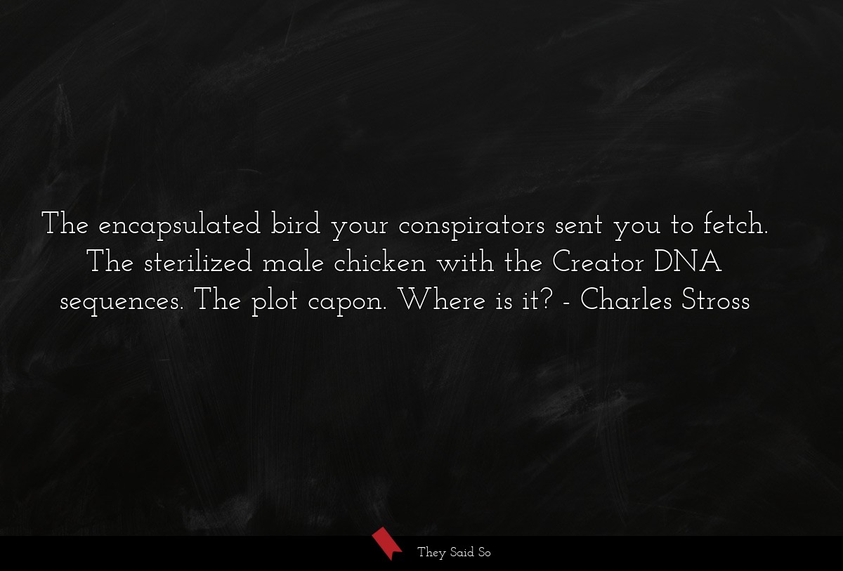 The encapsulated bird your conspirators sent you to fetch. The sterilized male chicken with the Creator DNA sequences. The plot capon. Where is it?