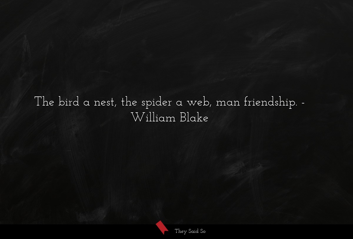 The bird a nest, the spider a web, man friendship.... | William Blake