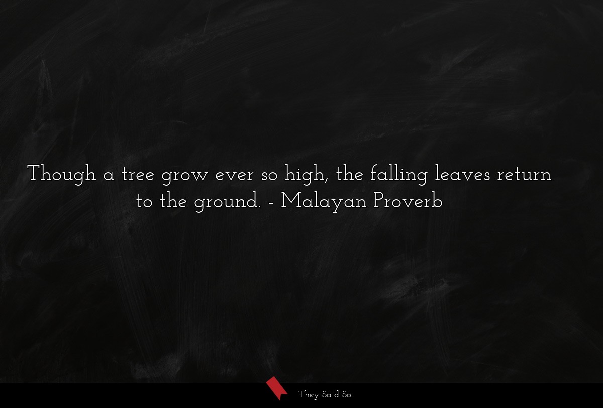 Though a tree grow ever so high, the falling leaves return to the ground.