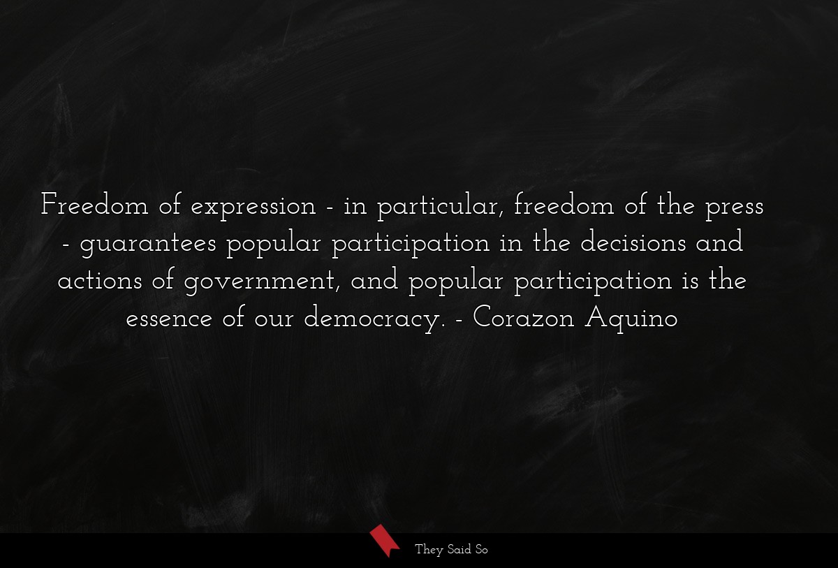 Freedom of expression - in particular, freedom of the press - guarantees popular participation in the decisions and actions of government, and popular participation is the essence of our democracy.
