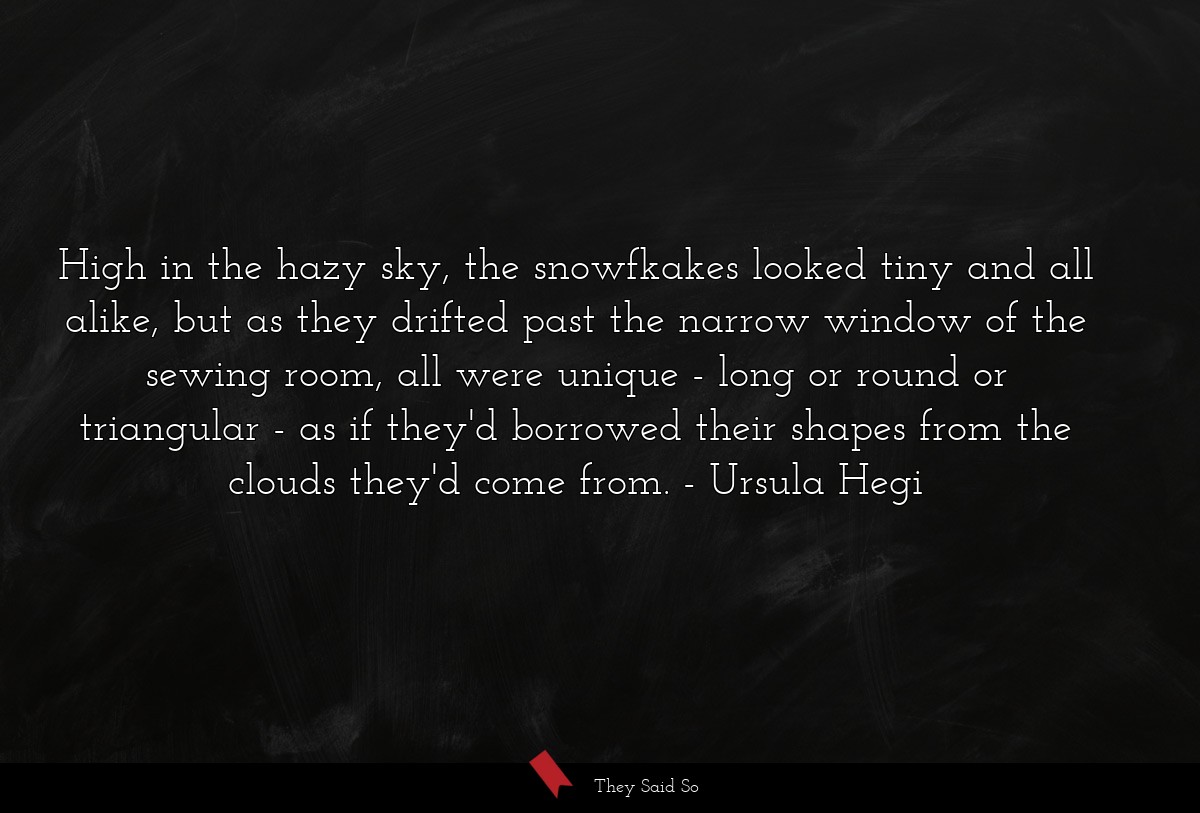High in the hazy sky, the snowfkakes looked tiny and all alike, but as they drifted past the narrow window of the sewing room, all were unique - long or round or triangular - as if they'd borrowed their shapes from the clouds they'd come from.