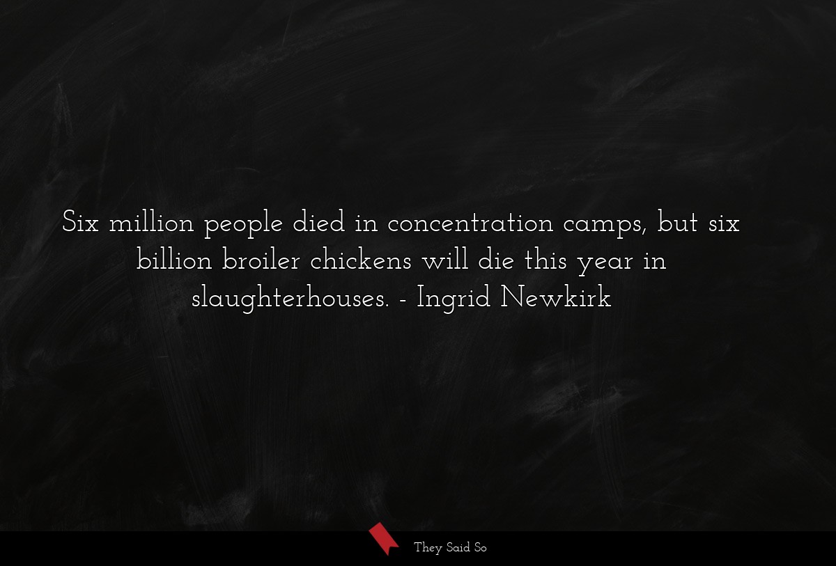 Six million people died in concentration camps, but six billion broiler chickens will die this year in slaughterhouses.