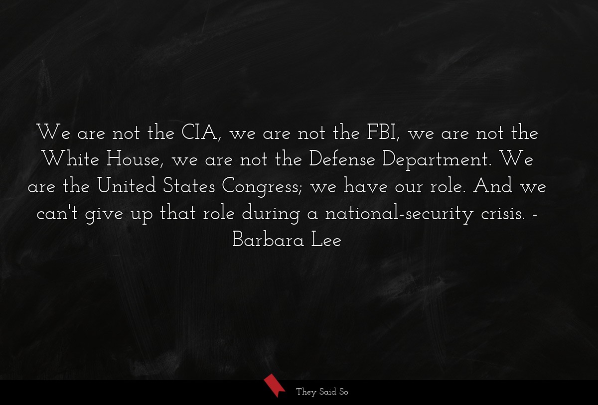 We are not the CIA, we are not the FBI, we are not the White House, we are not the Defense Department. We are the United States Congress; we have our role. And we can't give up that role during a national-security crisis.
