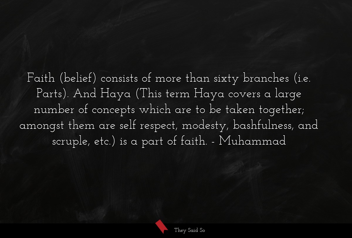 Faith (belief) consists of more than sixty branches (i.e. Parts). And Haya (This term Haya covers a large number of concepts which are to be taken together; amongst them are self respect, modesty, bashfulness, and scruple, etc.) is a part of faith.