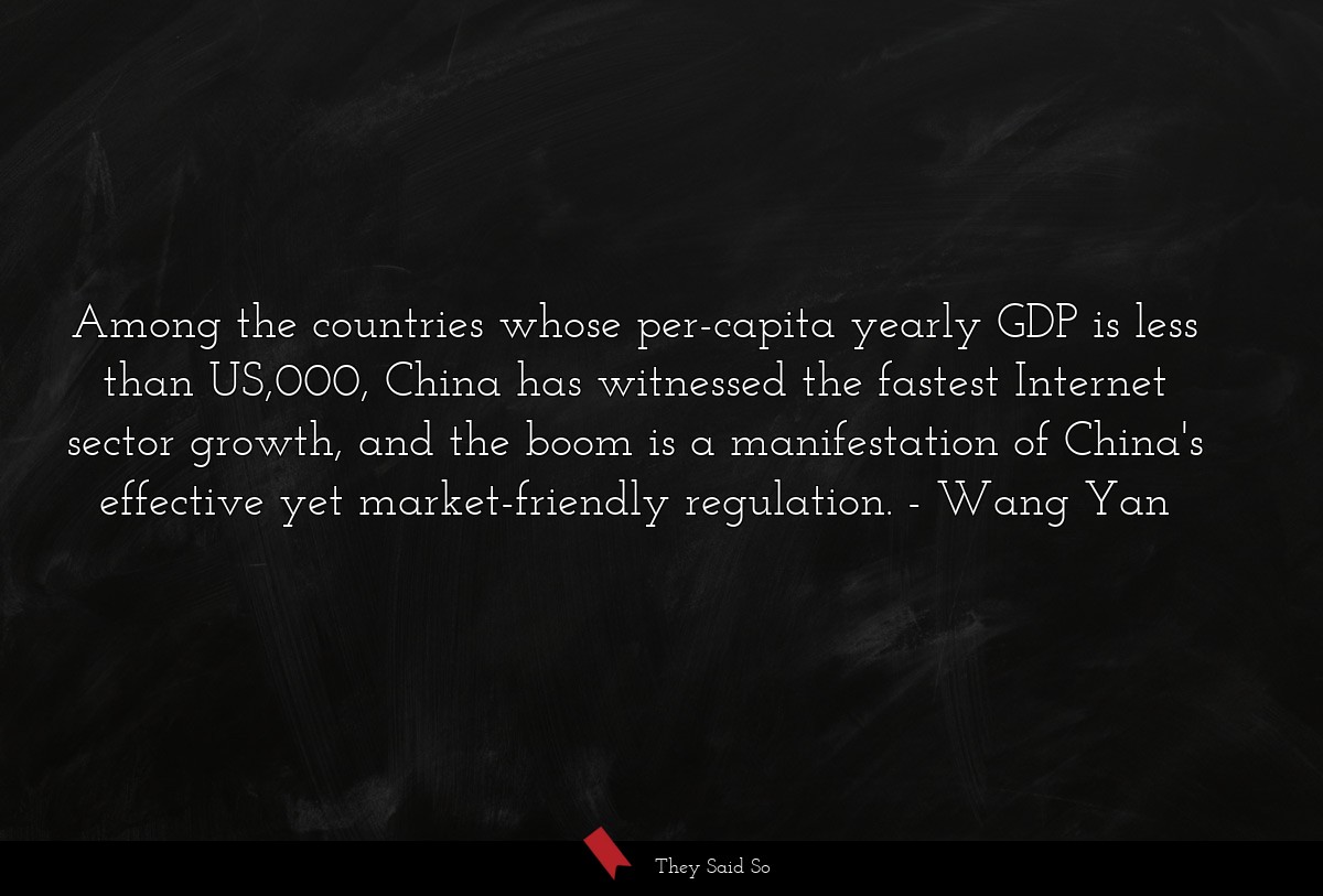 Among the countries whose per-capita yearly GDP is less than US,000, China has witnessed the fastest Internet sector growth, and the boom is a manifestation of China's effective yet market-friendly regulation.