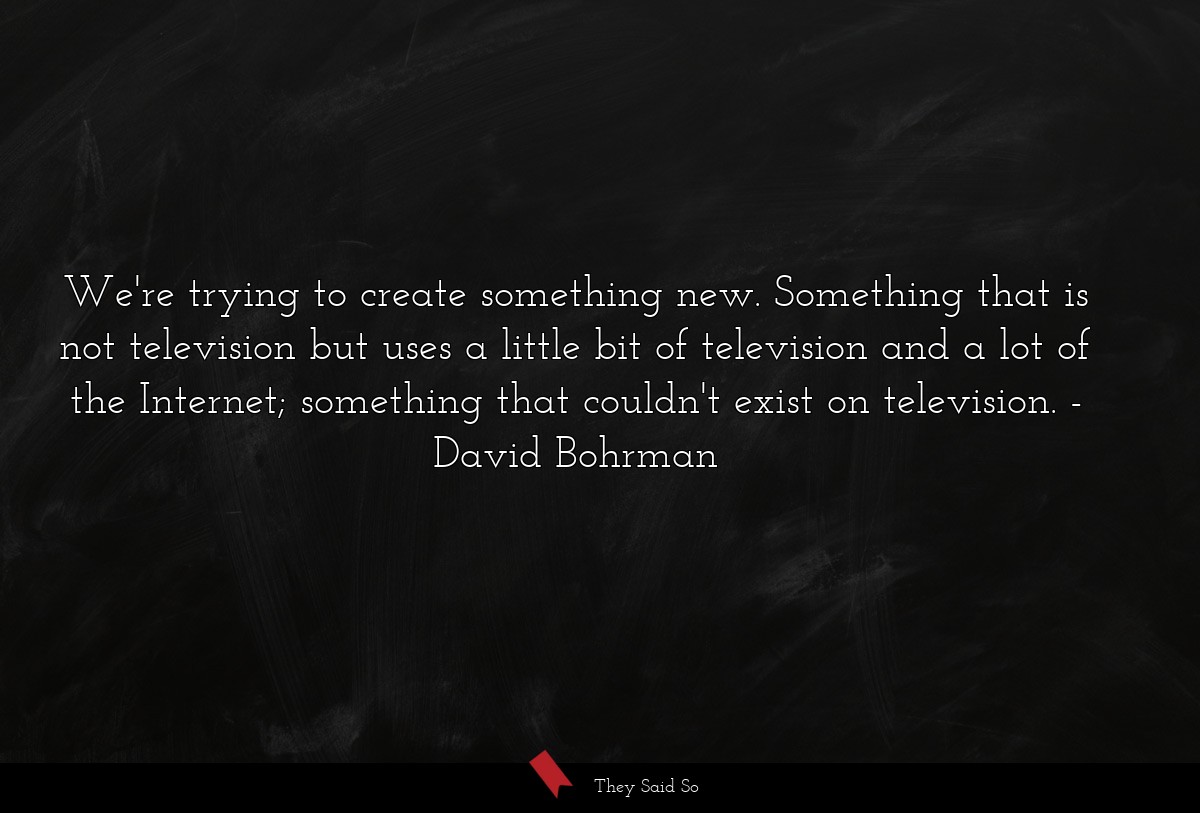 We're trying to create something new. Something that is not television but uses a little bit of television and a lot of the Internet; something that couldn't exist on television.