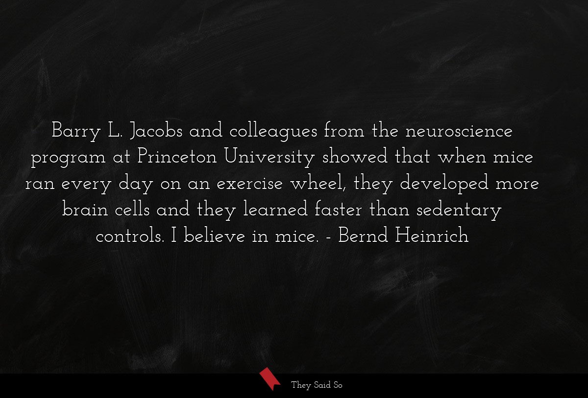Barry L. Jacobs and colleagues from the neuroscience program at Princeton University showed that when mice ran every day on an exercise wheel, they developed more brain cells and they learned faster than sedentary controls. I believe in mice.