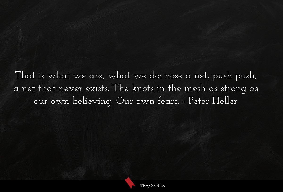 That is what we are, what we do: nose a net, push push, a net that never exists. The knots in the mesh as strong as our own believing. Our own fears.