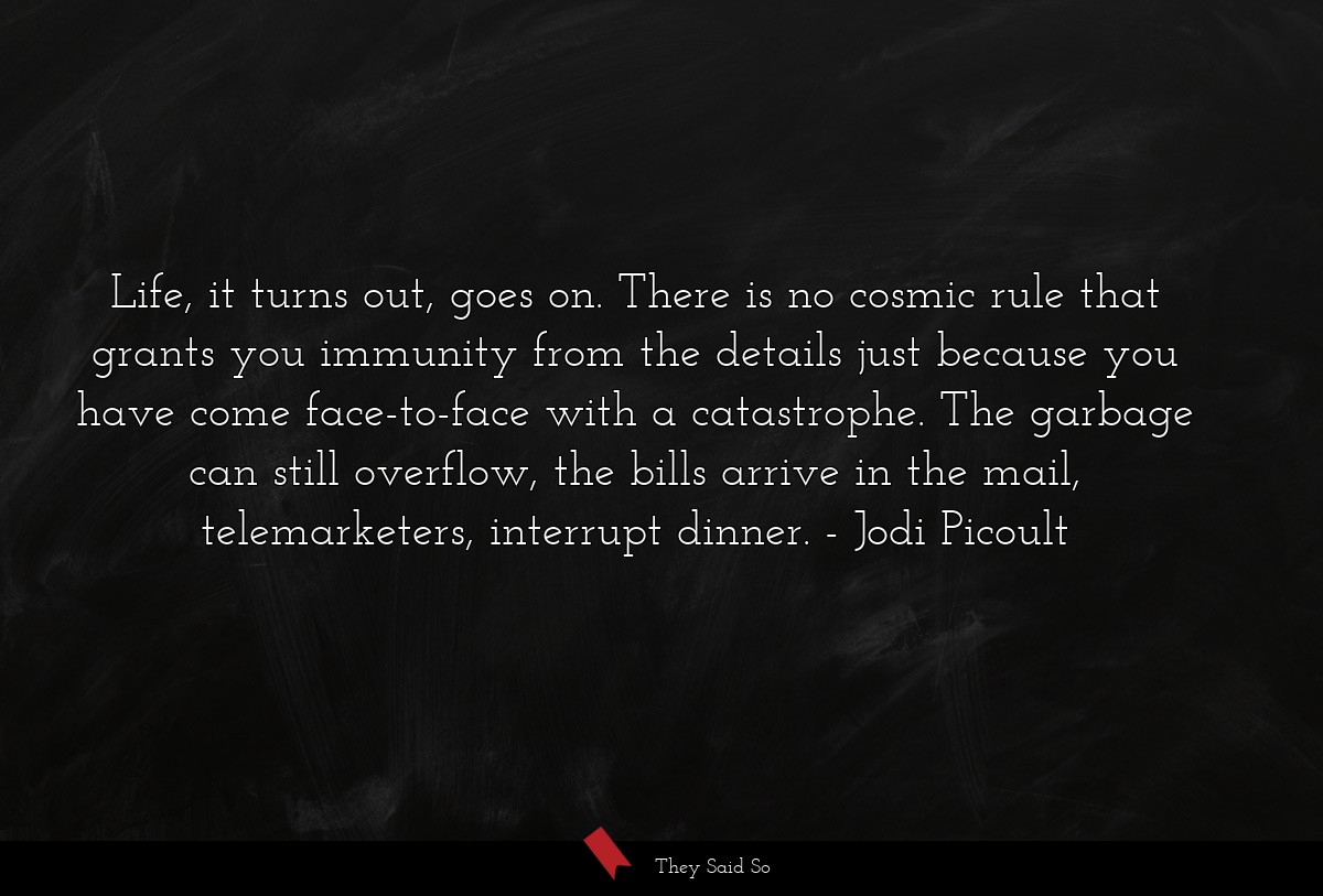 Life, it turns out, goes on. There is no cosmic... | Jodi Picoult
