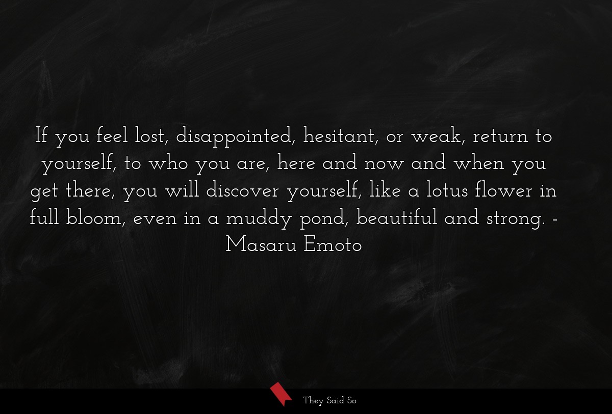 If you feel lost, disappointed, hesitant, or... | Masaru Emoto