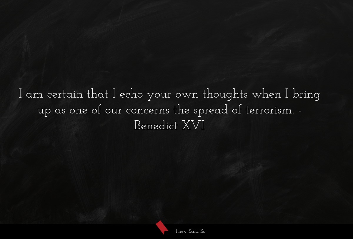 I am certain that I echo your own thoughts when I bring up as one of our concerns the spread of terrorism.