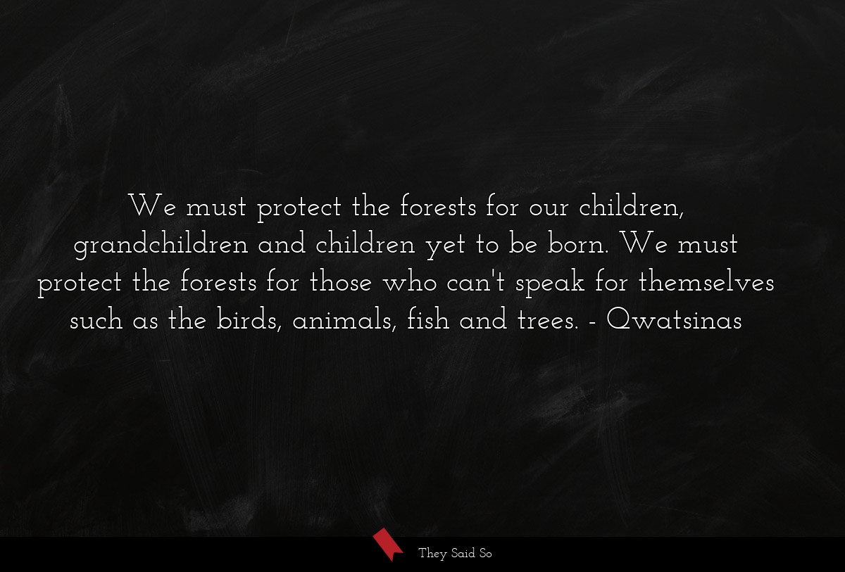 We must protect the forests for our children, grandchildren and children yet to be born. We must protect the forests for those who can't speak for themselves such as the birds, animals, fish and trees.