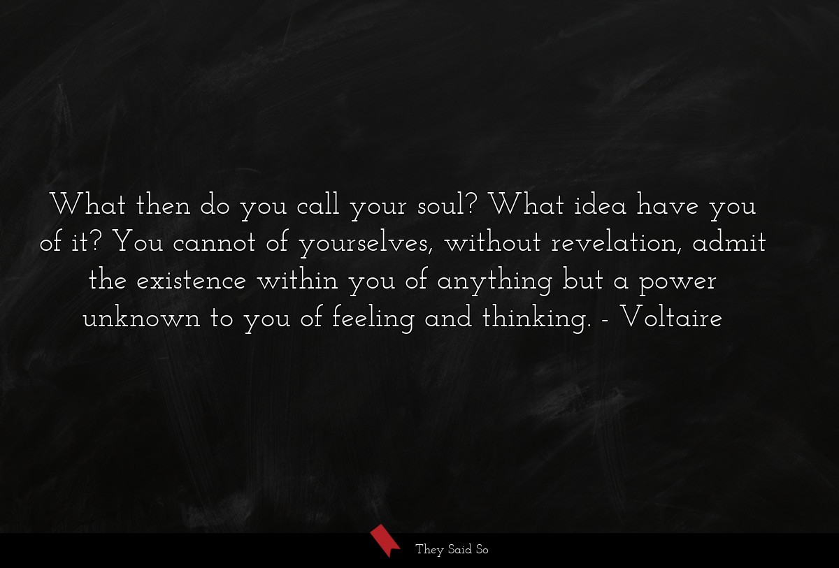 What then do you call your soul? What idea have you of it? You cannot of yourselves, without revelation, admit the existence within you of anything but a power unknown to you of feeling and thinking.