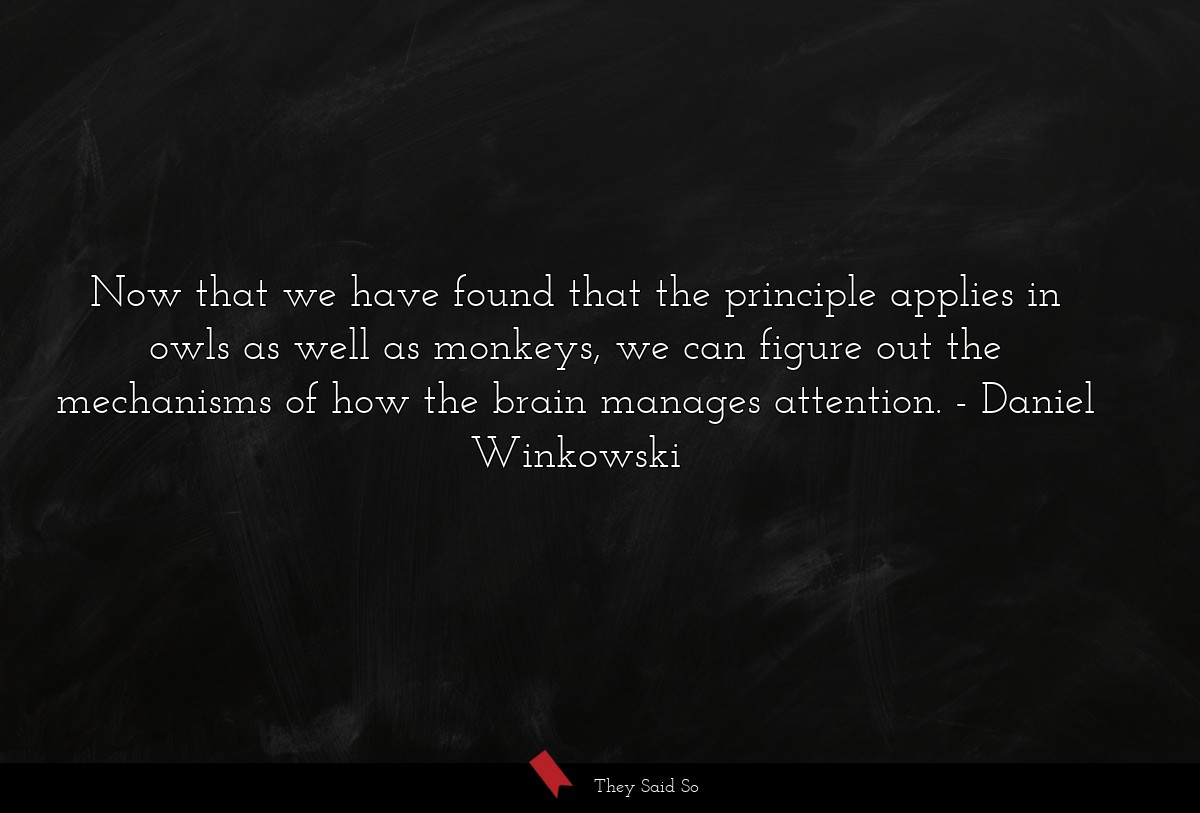 Now that we have found that the principle applies in owls as well as monkeys, we can figure out the mechanisms of how the brain manages attention.