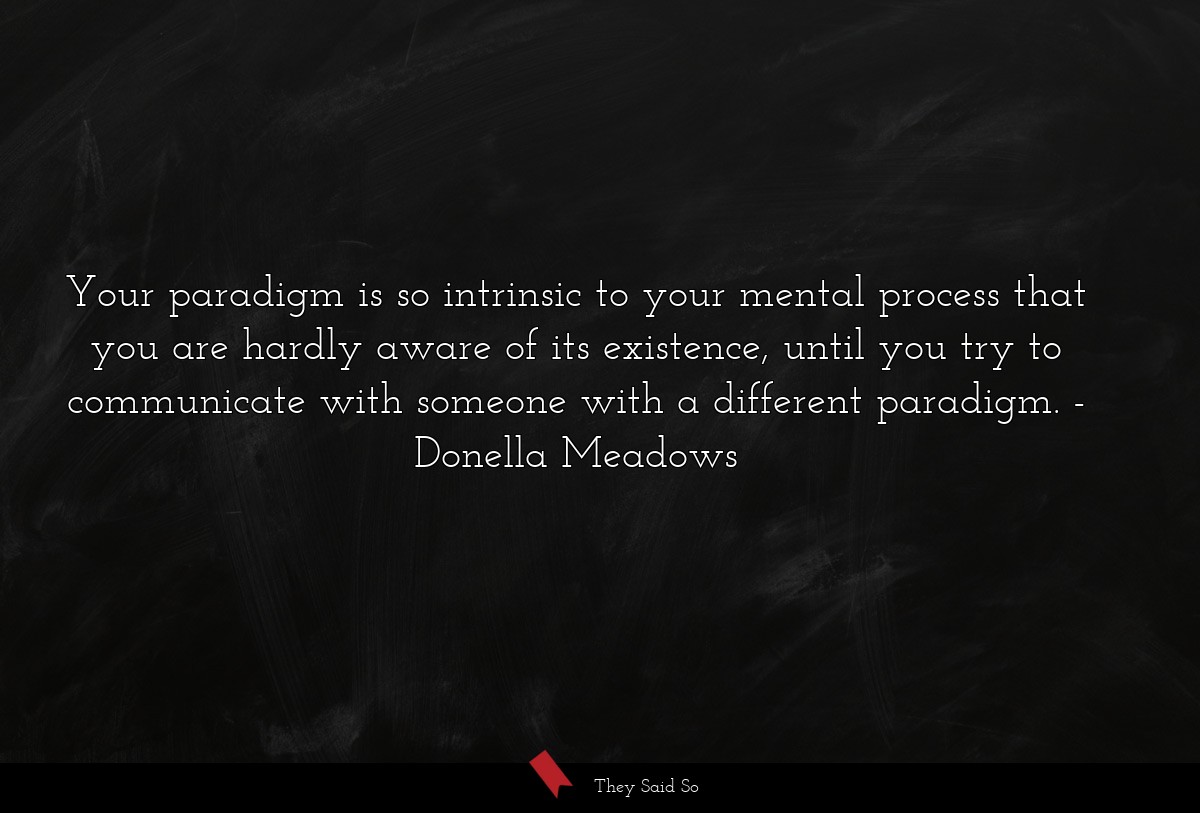Your paradigm is so intrinsic to your mental process that you are hardly aware of its existence, until you try to communicate with someone with a different paradigm.