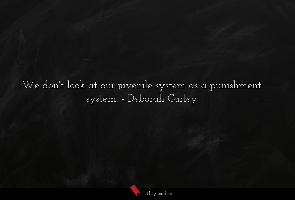 We don't look at our juvenile system as a punishment system.