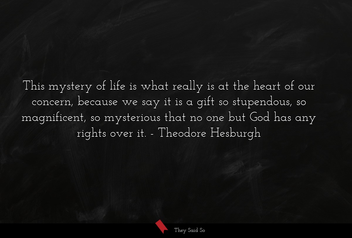 This mystery of life is what really is at the heart of our concern, because we say it is a gift so stupendous, so magnificent, so mysterious that no one but God has any rights over it.