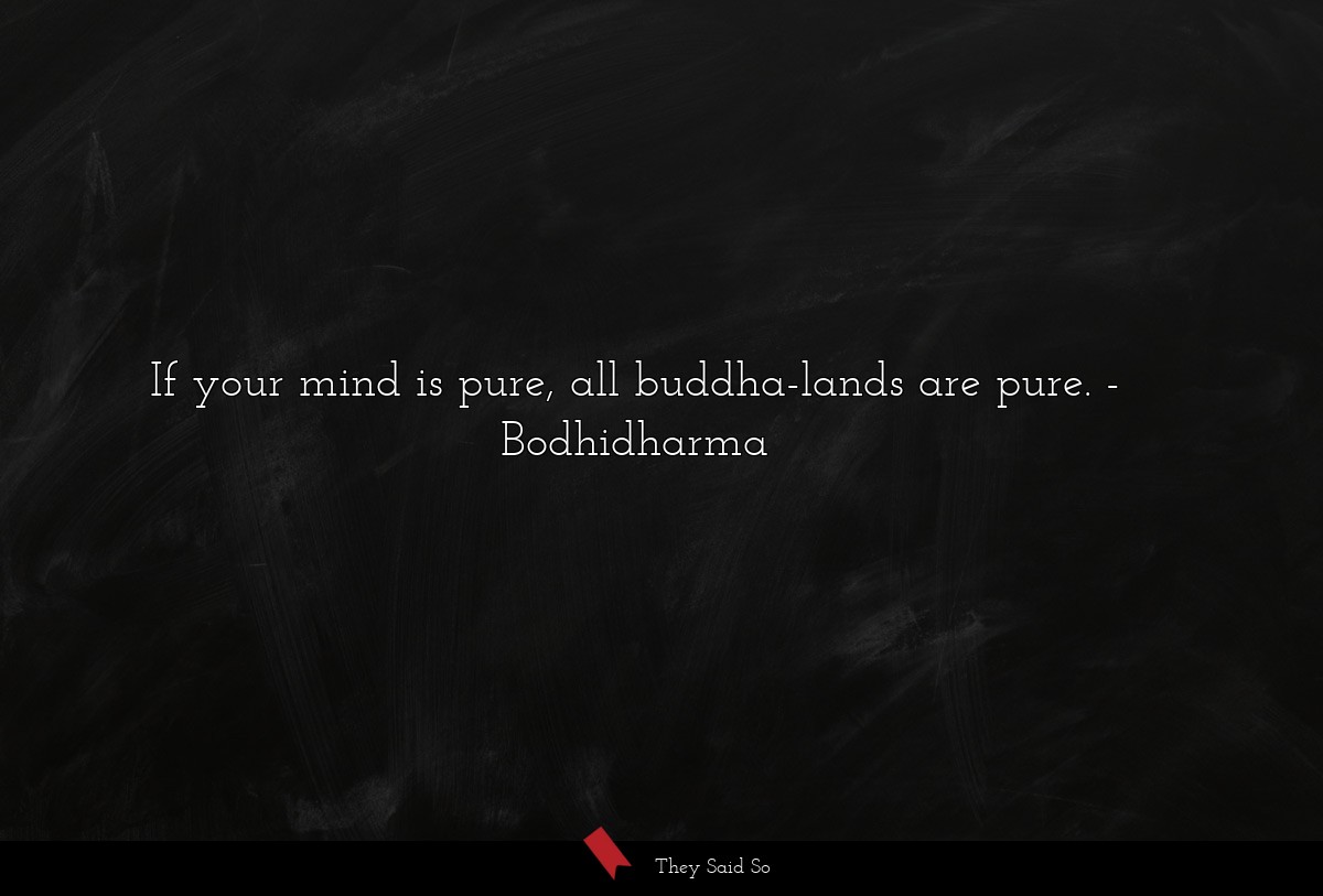 If your mind is pure, all buddha-lands are pure.