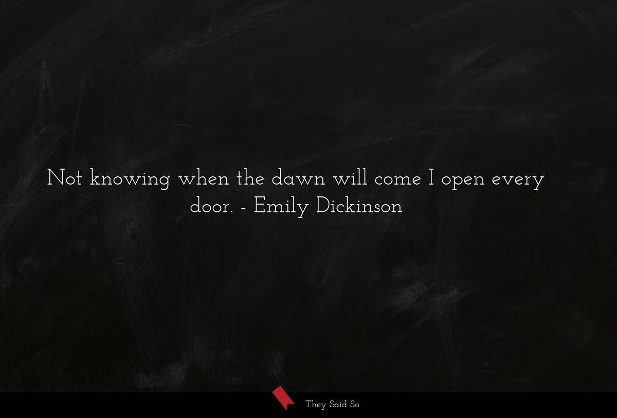 Not knowing when the dawn will come I open every door.