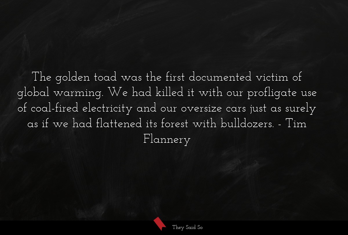 The golden toad was the first documented victim of global warming. We had killed it with our profligate use of coal-fired electricity and our oversize cars just as surely as if we had flattened its forest with bulldozers.