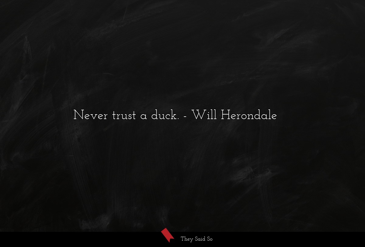 Never trust a duck.