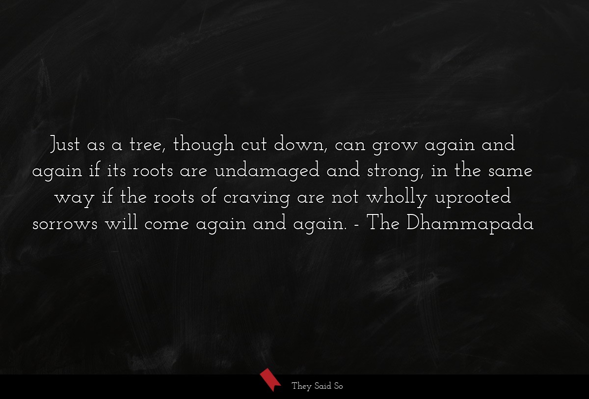 Just as a tree, though cut down, can grow again and again if its roots are undamaged and strong, in the same way if the roots of craving are not wholly uprooted sorrows will come again and again.