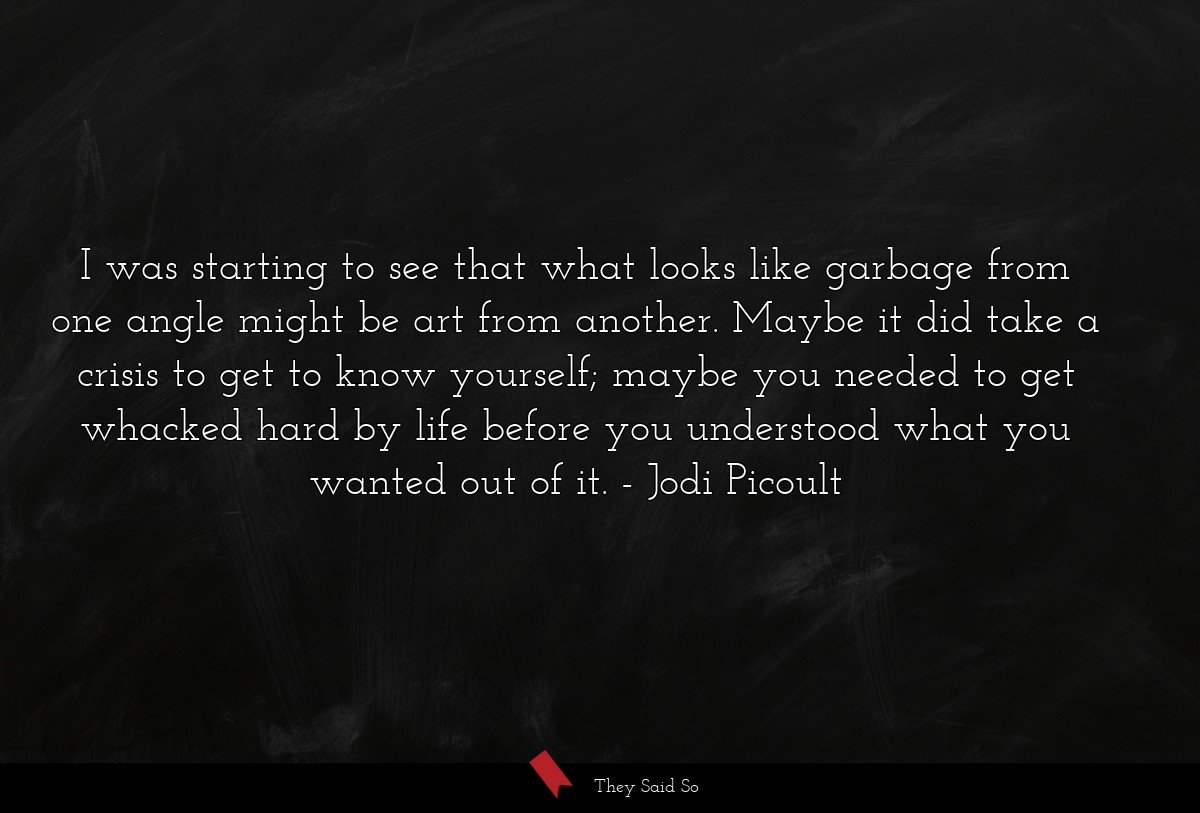 I was starting to see that what looks like... | Jodi Picoult
