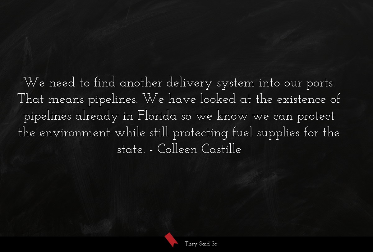 We need to find another delivery system into our ports. That means pipelines. We have looked at the existence of pipelines already in Florida so we know we can protect the environment while still protecting fuel supplies for the state.