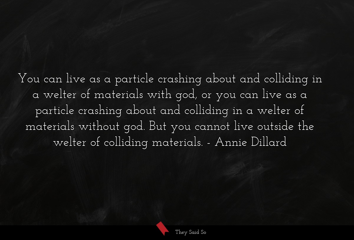 You can live as a particle crashing about and... | Annie Dillard